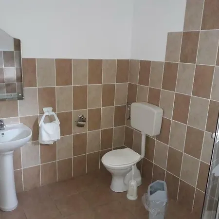 Casa Guest house Delureni
