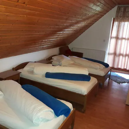 Casa Guest house Delureni